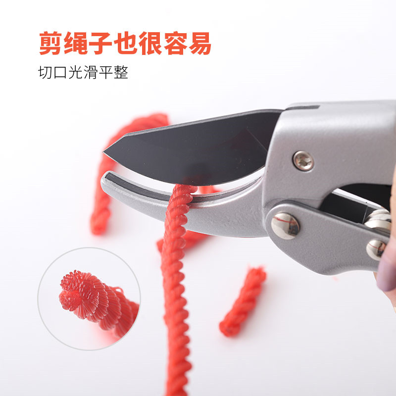 剪枝剪刀园艺剪树枝果树果枝修枝剪花剪园林花艺强力省力粗枝剪子
