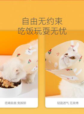 满印伊丽莎白圈猫咪项狗