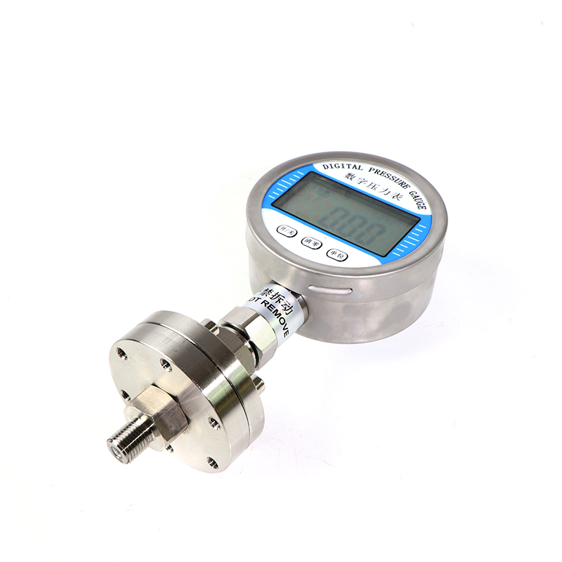 高精度数显隔膜进口压力