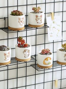 挂篮铁艺阳台植物花篮花架侵塑网片收纳篮照片墙装饰置物蓝挂篮