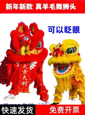 新款成人双人舞龙舞狮道具南狮醒狮舞狮子服装狮子头表演整套