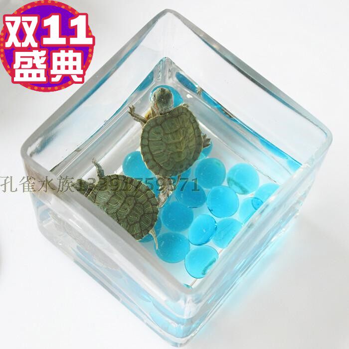 鱼缸方形生态迷你 创意礼品 室内装饰 水族箱 小型斗鱼金玻璃鱼缸