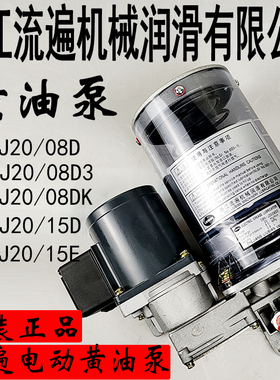 浙江流遍油脂润滑泵DBS-J20/15D3冲床电动黄油泵DBN-J20/08D/15D