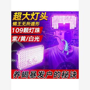 照蝎子专用抓灯新款养超强手电筒紫光灯强光头戴可充电照明鉴定灯
