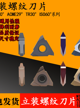 立装内外梯形公制螺纹刀片22VER 22VNR 5.0 6.0 4.0 TR ACME ISO