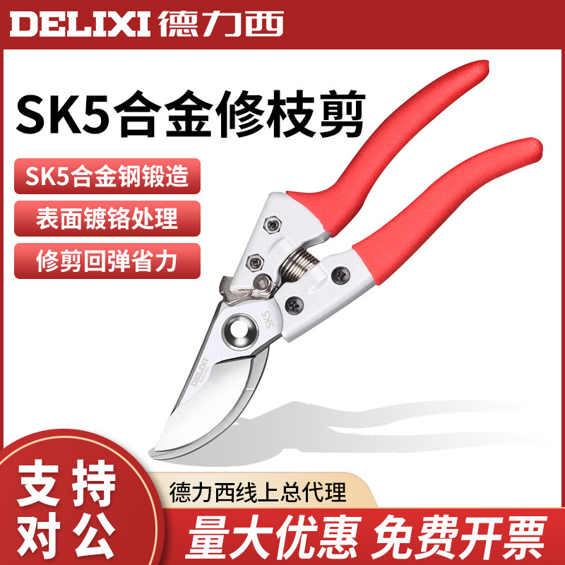 德力西修枝剪子 园艺园林剪刀强力省力修剪摘果花树枝粗枝剪刀