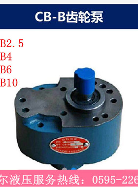 CB-B10/B6/B4/B2.5/B16/B20/B25/B32/B50/B63/B80/B100/125齿轮泵
