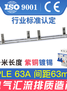 电气汇流排2PLE/32/40/50/63/100A漏保空开接线梳妆母排连接铜排