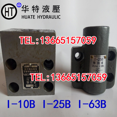 管式板式单向阀 I-10 I-25 I-63 I-100 I-10B I-25B I-63B I-100B