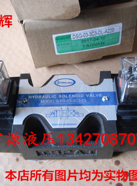 DSG-03-3C3-DL液压电磁阀DSG-03-3C3-LW AC220 DC24V台湾SONGHUI