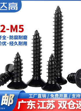 黑色304不锈钢GB846十字沉头自攻螺丝钉平头螺丝螺钉M2M2.6M3M4M5