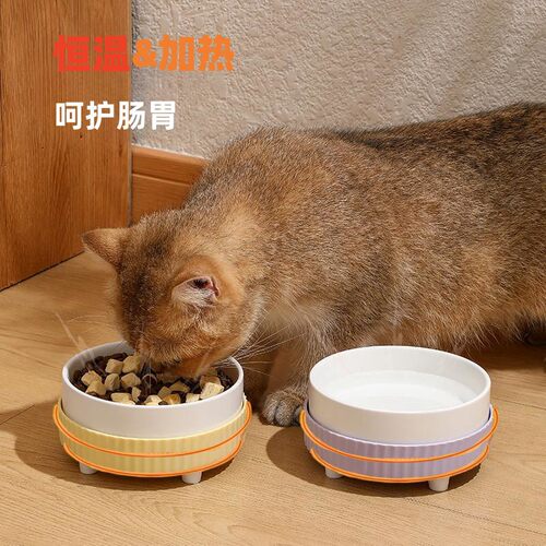 猫咪恒温饮水机宠物喂水器陶瓷水碗加热喝水神器猫狗狗不湿嘴用品