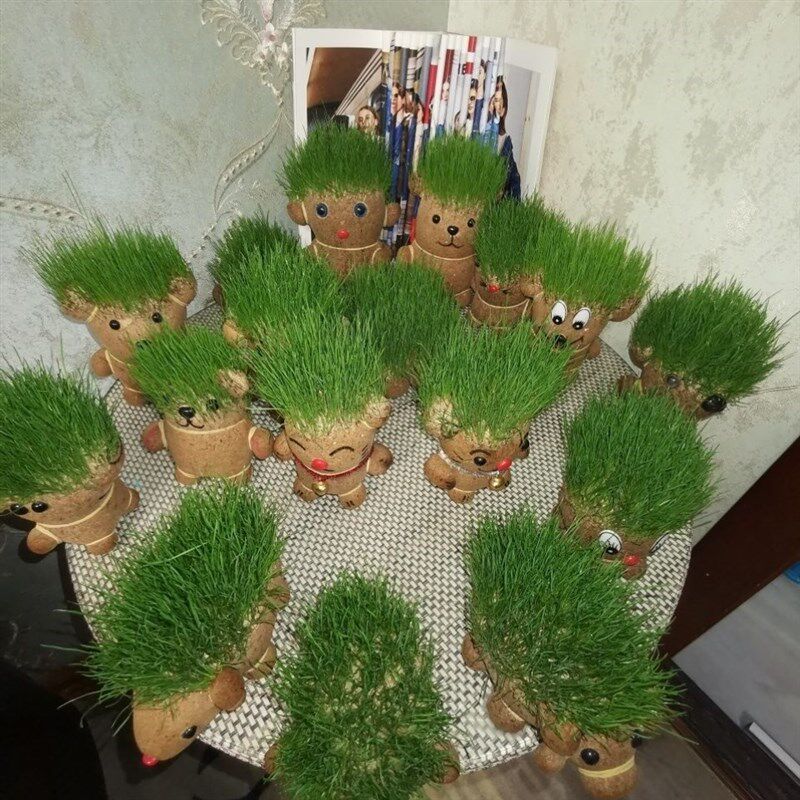 种草娃娃头上长草盆栽浇水长草的植物创意草头娃娃办公室青草盆栽