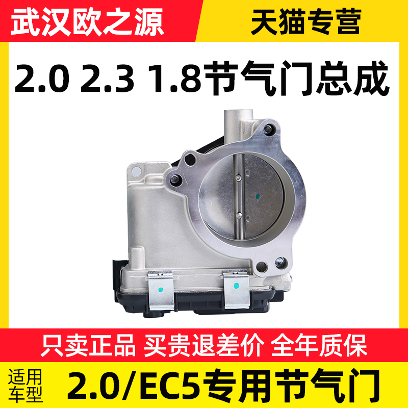 得元标致雪铁龙节气门总