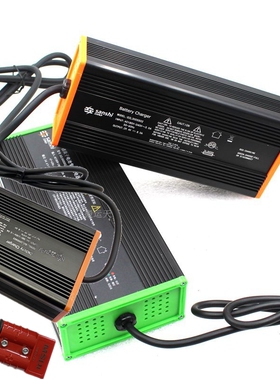 诺力凌动PTE15Q电动托盘搬运车锂电池充电器24V8A智能原装充电机