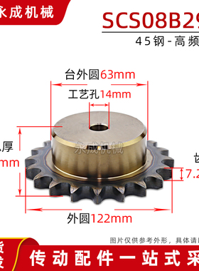 盛天SCS 4分29齿 08B29T高强度单排齿轮 链轮 齿外径122 齿距12.7