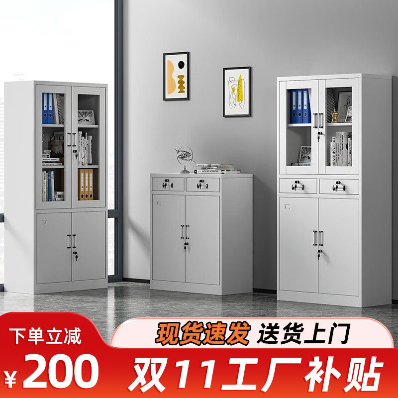 办公室铁皮资料柜财务档