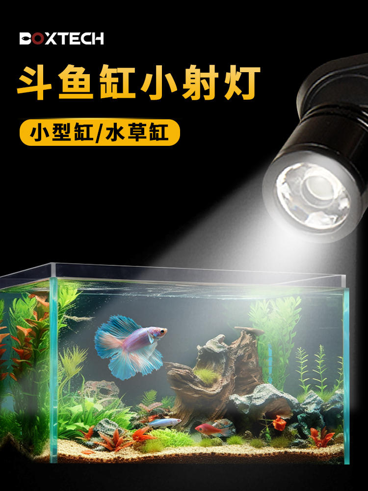 斗鱼灯缸防水小型专用草