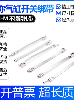 CS1-M磁性开关绑带不锈钢扎带迷你气缸卡箍专用S16/S20/25/32/S40