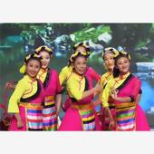 藏族舞蹈服装 藏族女中老年表演服 洗衣歌演出服少数民族风服饰新款