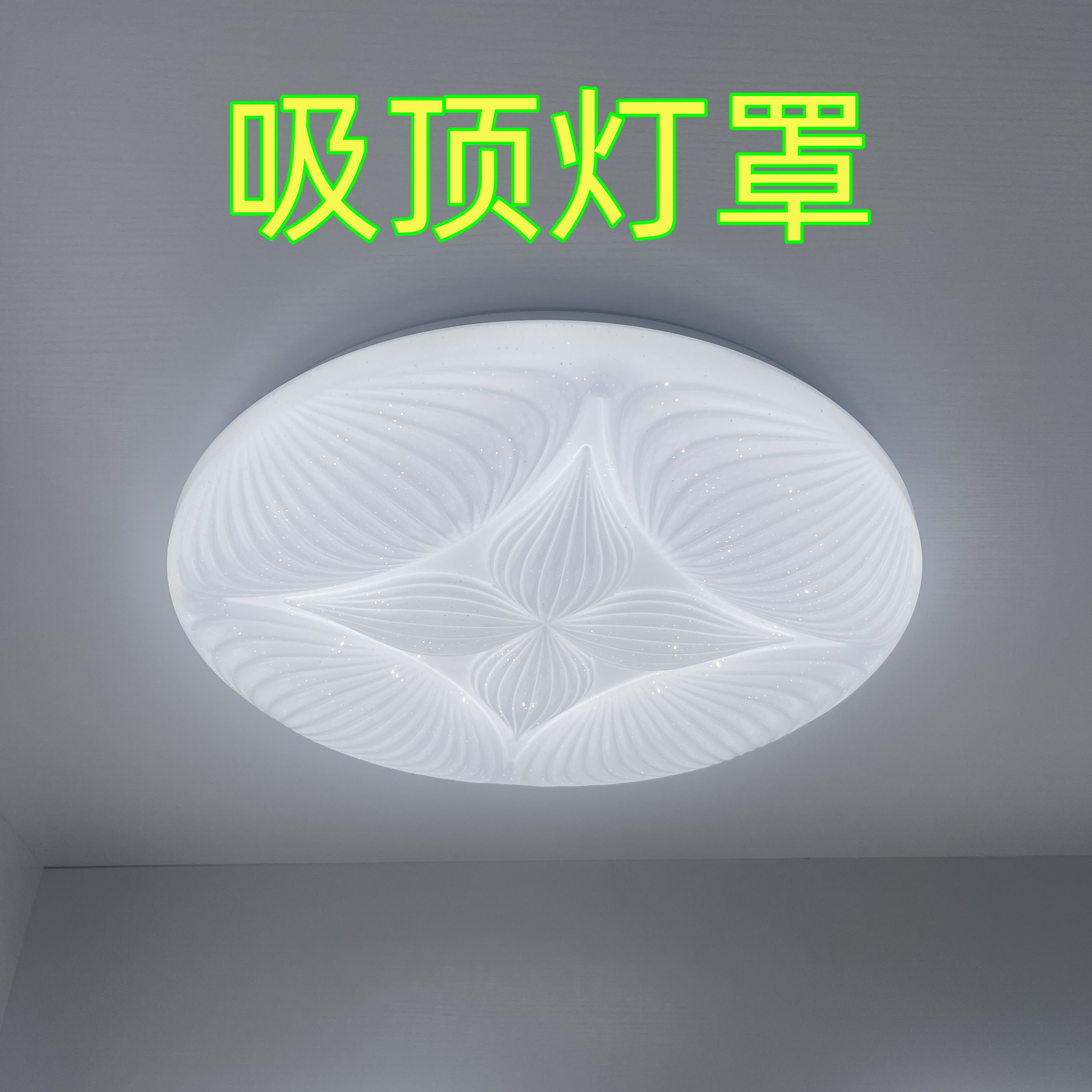 吸顶灯罩透光板套件配件大全单独老式卧室替换圆形磁吸亚克力通用