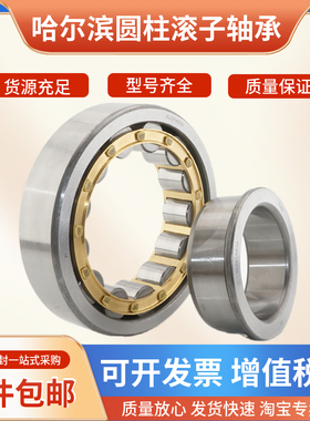 圆柱滚轴承N NJ NU 415 416 417 418 420 422 424 426 428 40 EM
