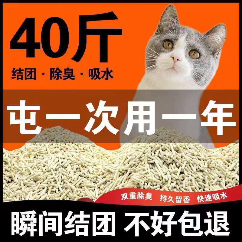买一送豆腐猫砂绿茶原味