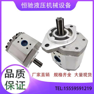 G540 G532 G563 G525 G550齿轮泵液压 G520 齿轮油泵CBQ