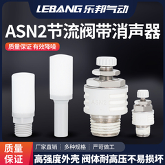 树脂节流消音消声器ASN2-M5/01/02/03/04直插式AN15/20-C06C08C10