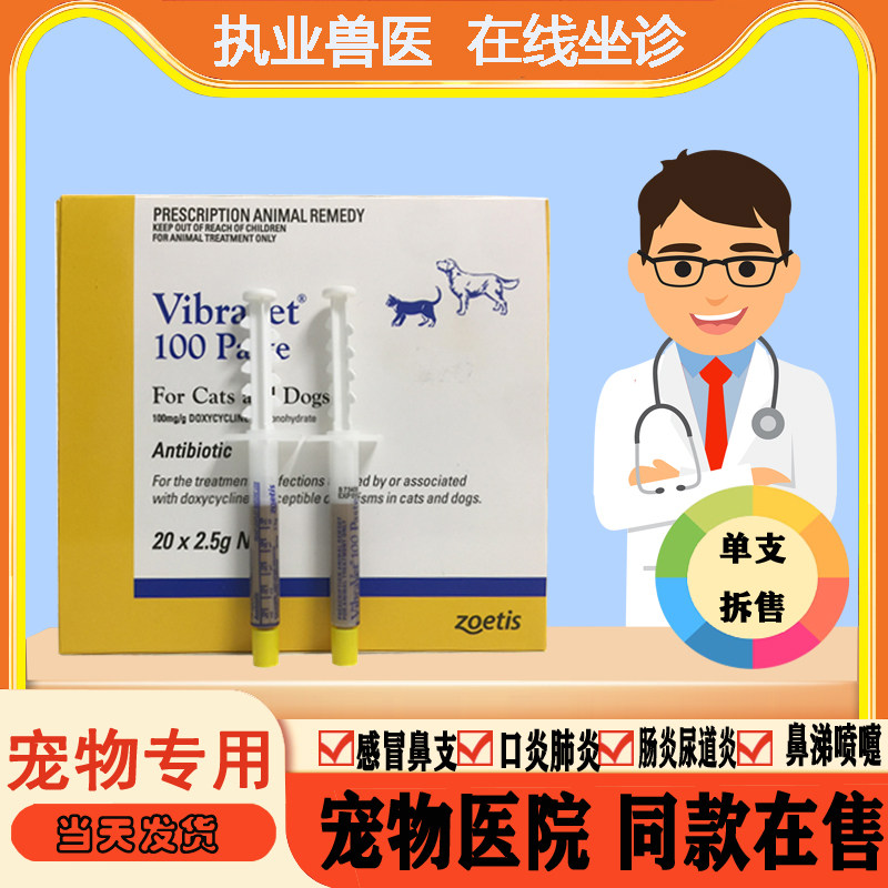 康恩尼辉瑞巧克力膏猫狗感冒消炎猫咪口炎猫鼻支猫瘟抗病毒膏1支