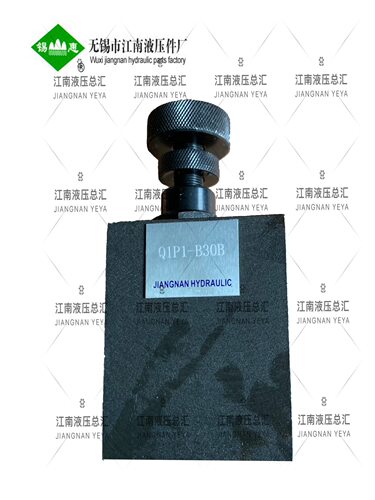 立车阀 Q1P1-B30B 溢流阀 立车专用  Q1P1-B30B