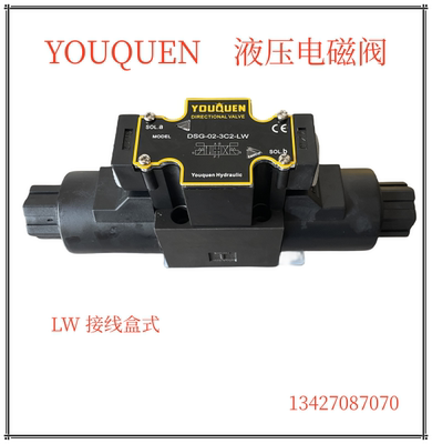 YOUQUEN 液压电磁阀 DSG-02-2B2 2B3B 3C2-3C3 3C4 3C60-LW 油昆