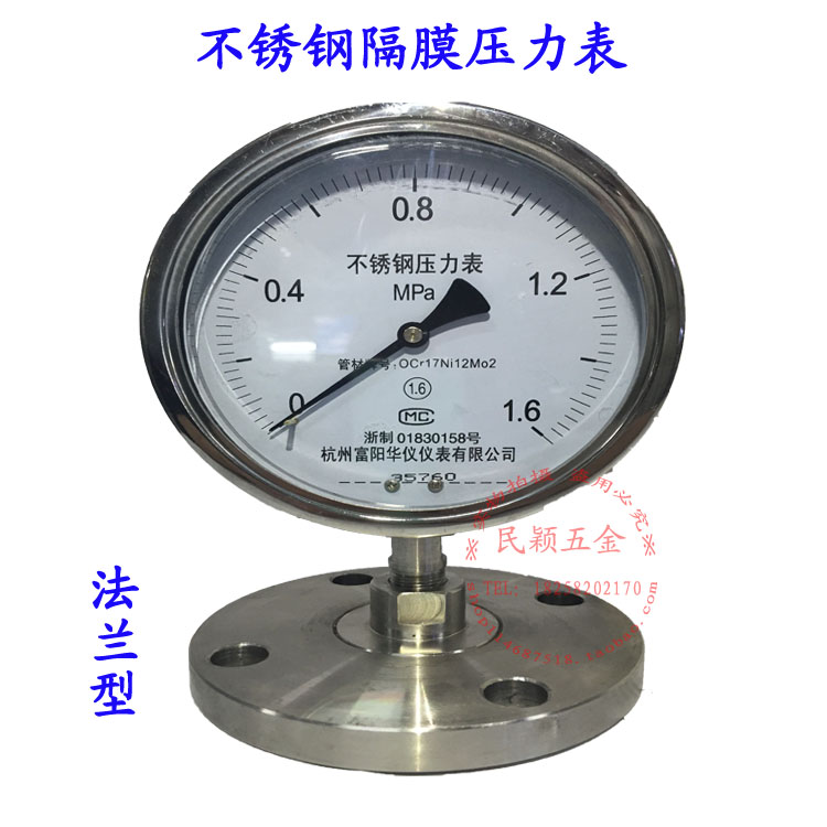 不锈钢隔膜压力表 YTP-150BF 法兰安装