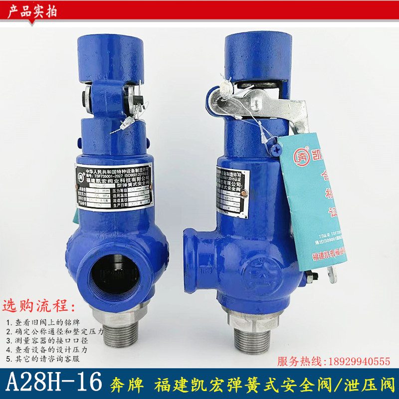 凯宏奔牌铸钢弹簧全启式