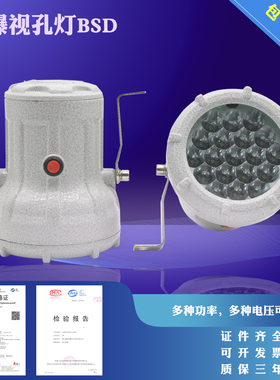 包邮防爆视孔灯5W防爆led视孔灯探照灯BSD-24v 220v12v反应视镜灯