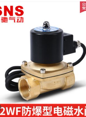 SNS神驰 二口常闭式防爆电磁阀 2WF025-08 040-10 160-15 200-20