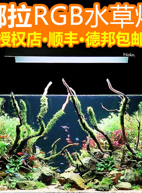 娜拉水草灯全缸显色植物