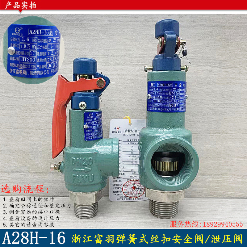 浙江富羽安全阀启式锅炉