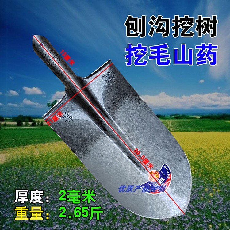 尖头铁锹大号锨抛刨毛山药挖沟种树翻土掘地农民家用具全锰钢铲子