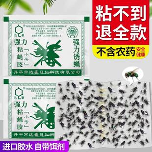 粘达豪蝇纸苍蝇贴强力粘蝇板灭蝇灭蚊子克星捕捉器家用一扫光饭店