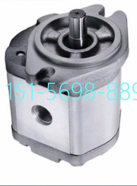 HAHYDROMXCJ齿轮油泵2GG1P11R压力泵2GG2P07R 高压液压泵2GG1P26R