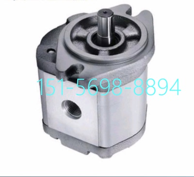 HAHYDROMXCJ齿轮油泵2GG1P11R压力泵2GG2P07R 高压液压泵2GG1P26R