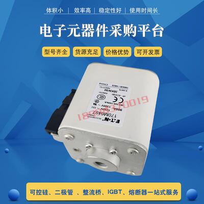 快速熔断器保险丝 170M6486/6494/6495/6496/6497/6498/6499/6500