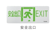 泰和安集中电源控制型消防应急照明灯具疏散安全出口应急灯壁挂式