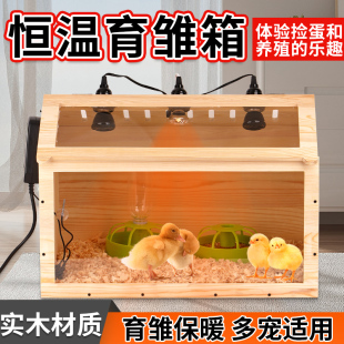 芦丁鸡饲养箱鸡鸭鹅苗养殖繁育恒温箱实木观赏造景屋育雏保温鸡窝