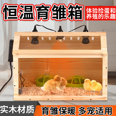 芦丁鸡饲养箱鸡鸭鹅苗养殖繁育恒温箱实木观赏造景屋育雏保温鸡窝