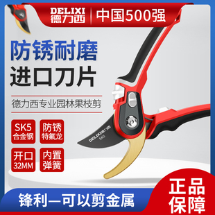 德力西园艺剪果树专用园林工具花枝花艺强力剪刀家用不锈钢修枝剪