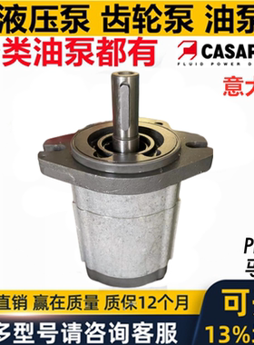 新款CASAPPA齿轮油泵马达PLM20.20R5-48WC PLM 20. 14 25 6.3包邮
