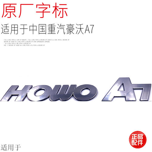 适用于中国重汽豪沃面板