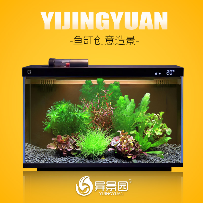 杜鹃根沉木鱼缸小米家智